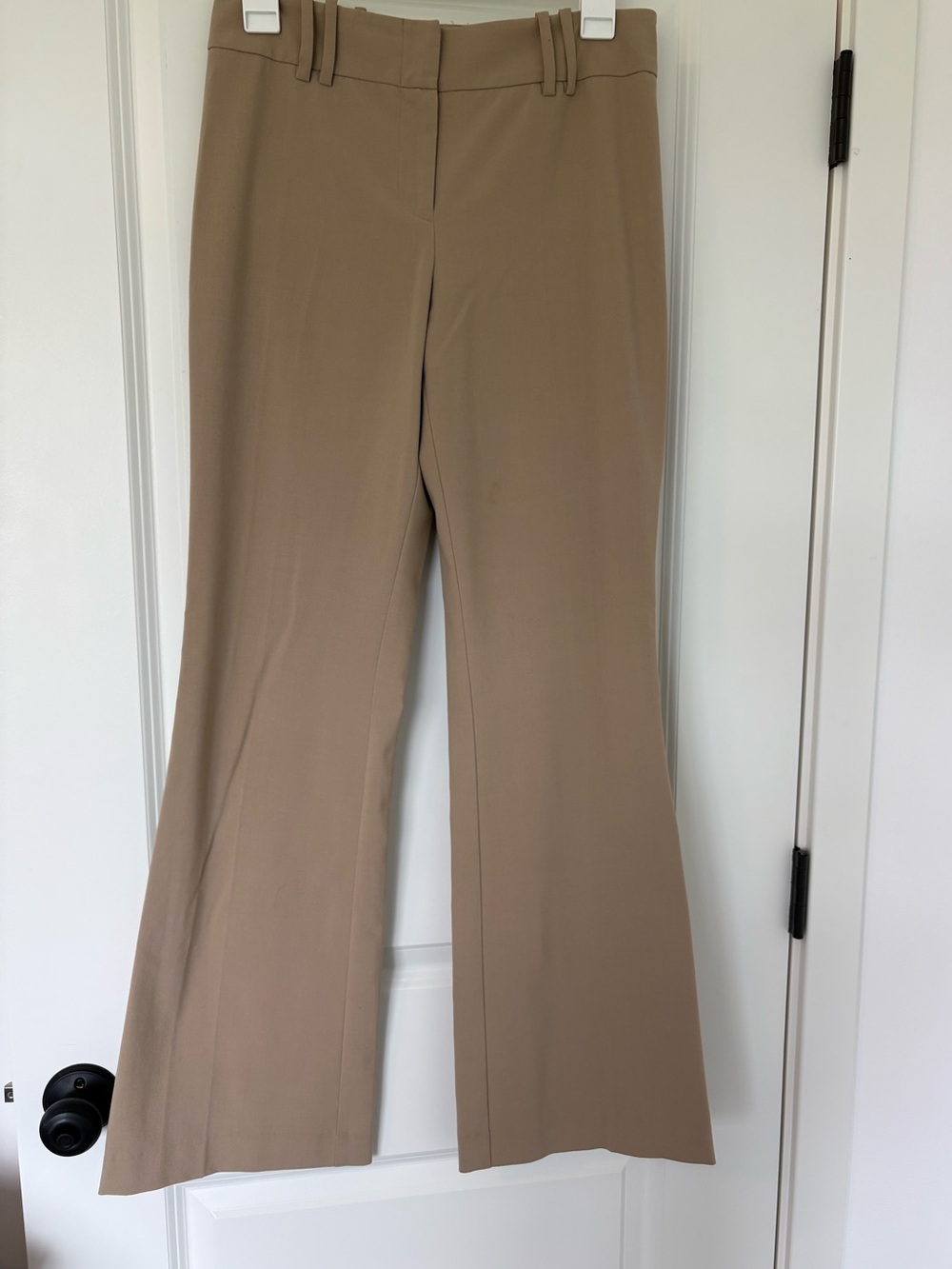 The Limited Stretch Tan Dress Pants - Size 4